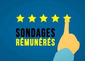 sondage-remunere